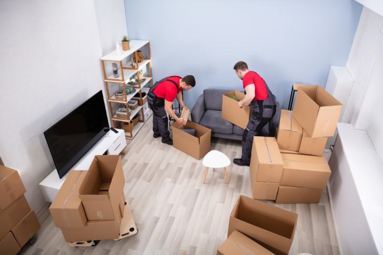 Best Quality Packers And Movers Dubai